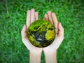 Hand holding green globe or world, world environment day , earth day Royalty Free Stock Photo